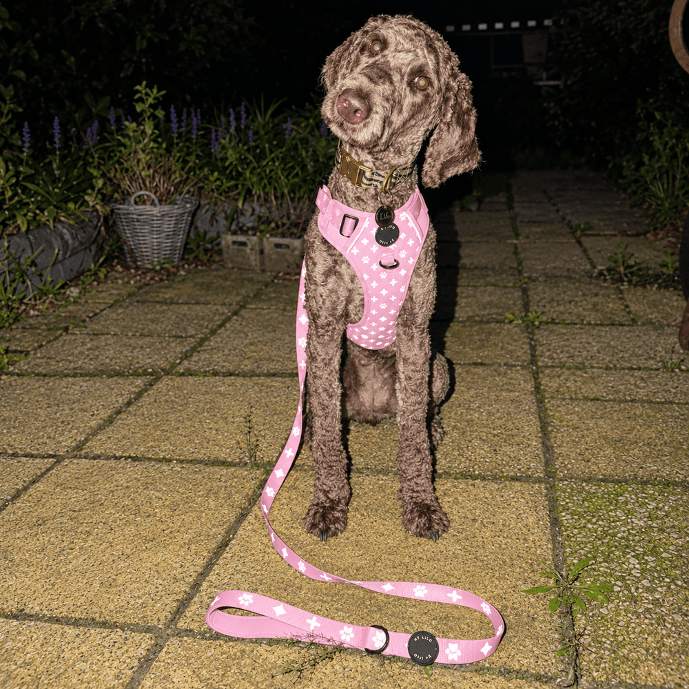 Roze Reflecterend Antitrek Y-Tuig + Riem Bundel - By Lilo
